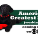 Illustration for article titled Americas Greatest Dog